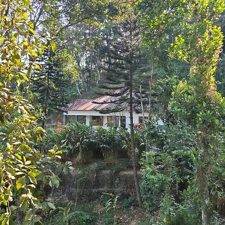 Anivilla Holiday Home Kunjithanny Anachal 외부 사진