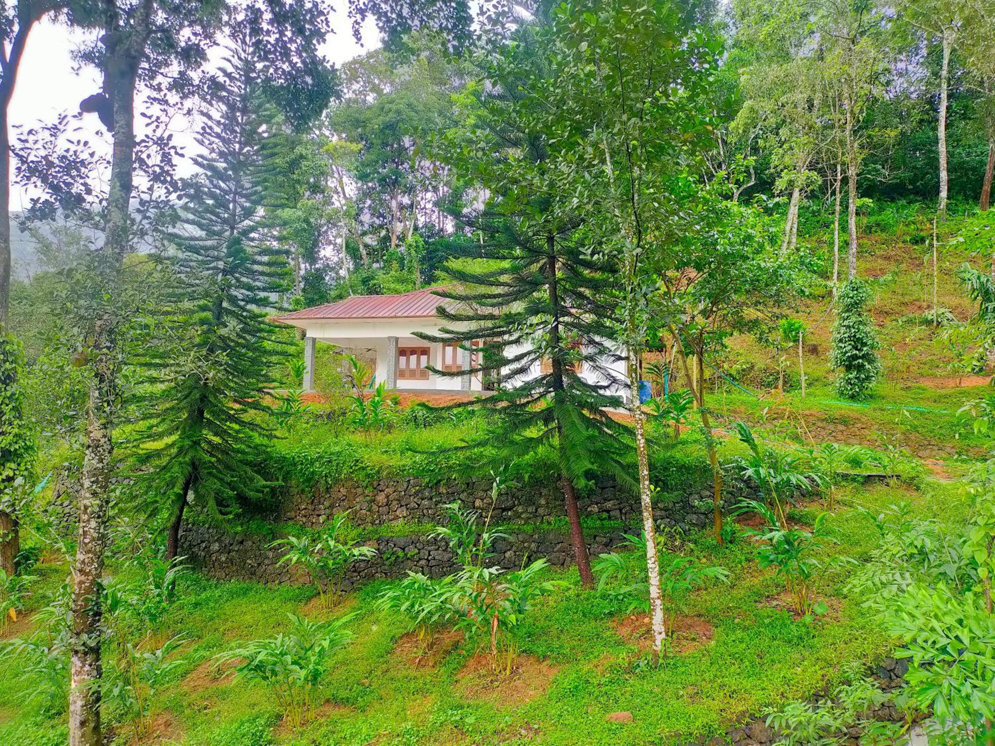 Anivilla Holiday Home Kunjithanny Anachal 외부 사진