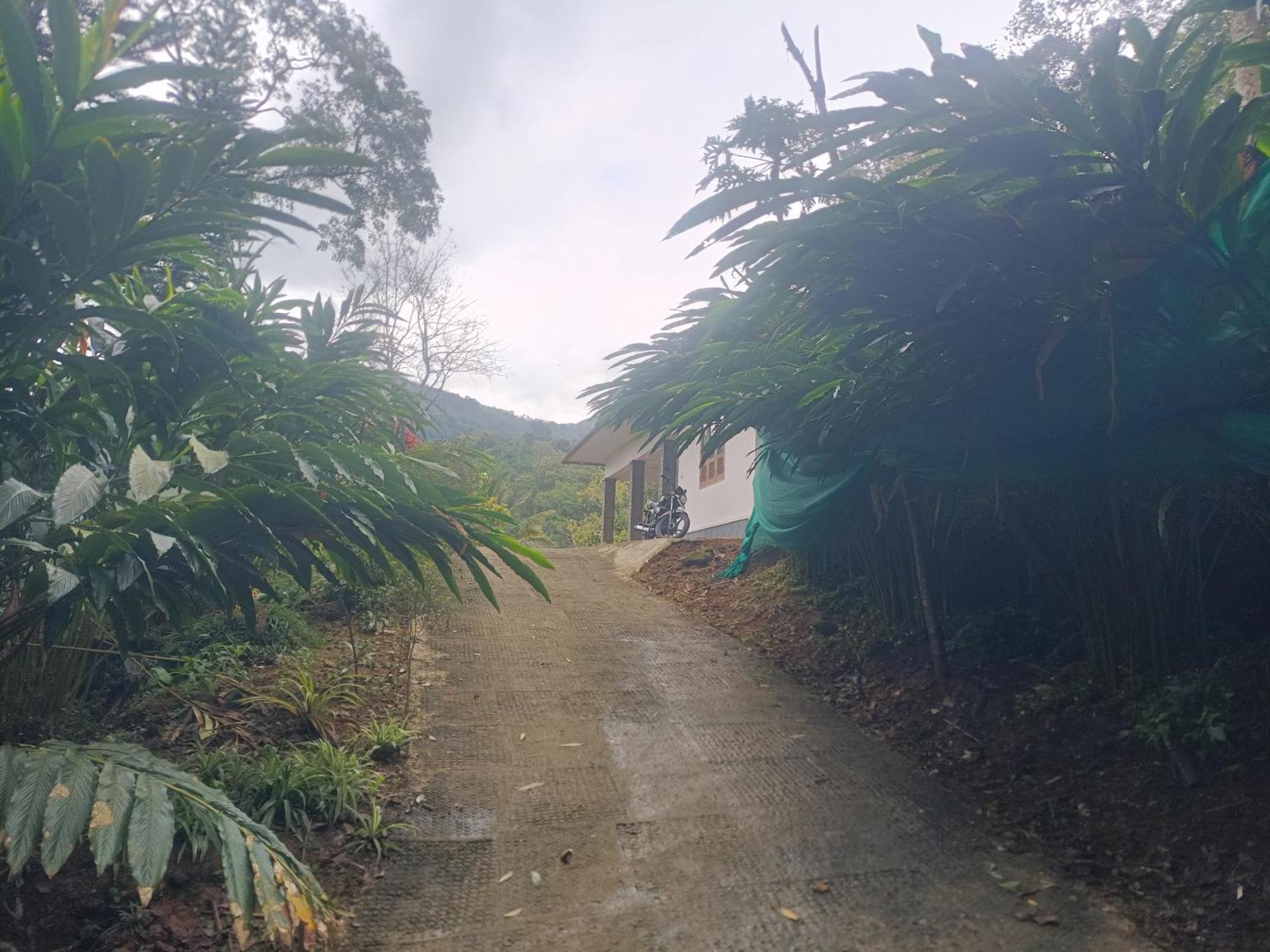 Anivilla Holiday Home Kunjithanny Anachal 외부 사진