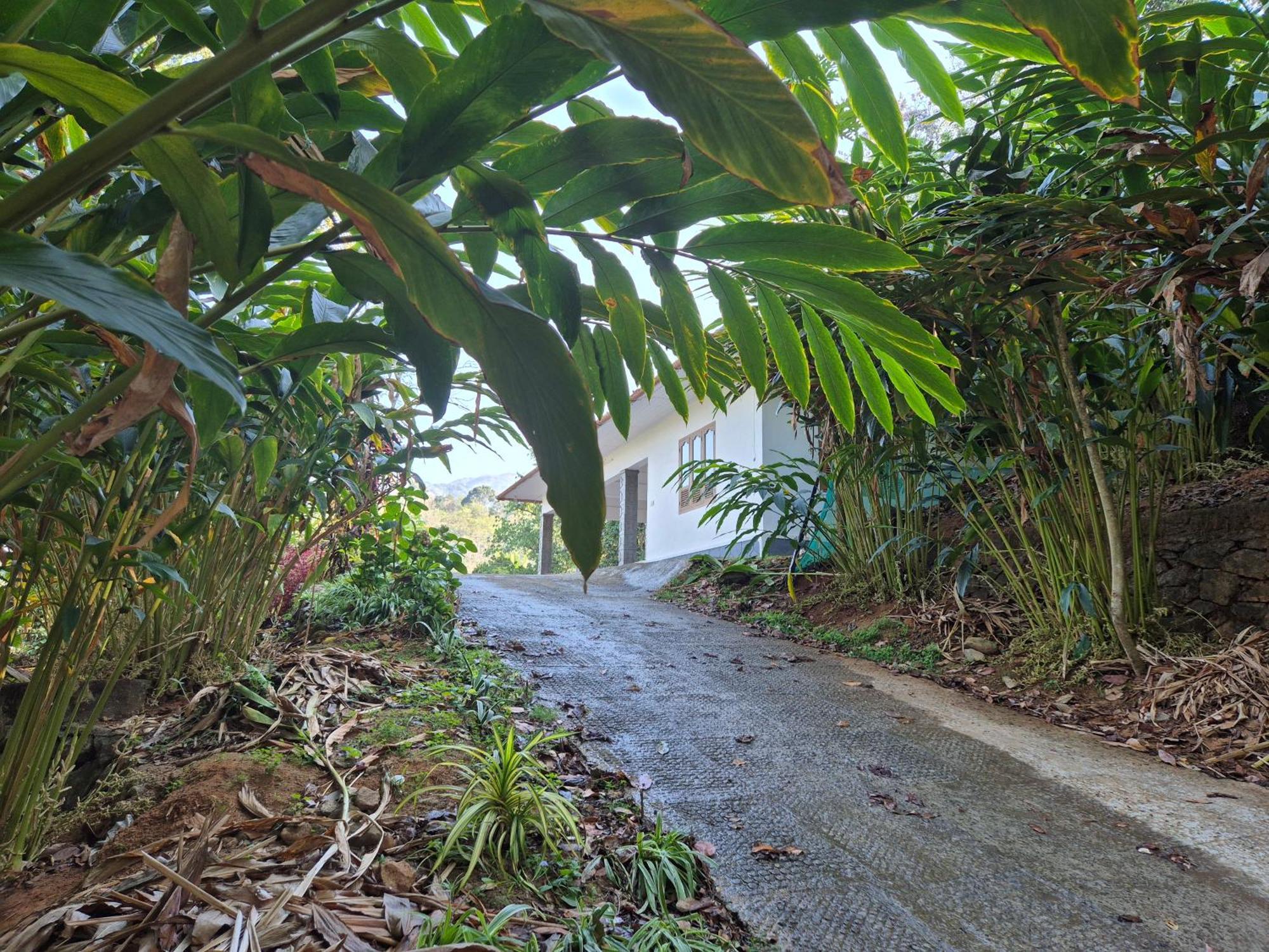 Anivilla Holiday Home Kunjithanny Anachal 외부 사진